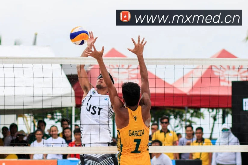 beat365官方网站入口平台生态图